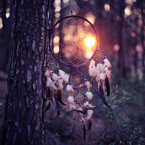 dreams