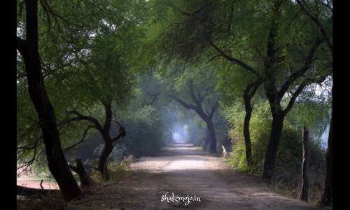bharatpur