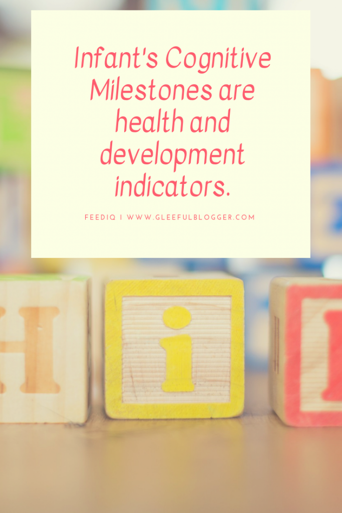 infant cognitive development