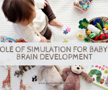 infant simulation brain growth